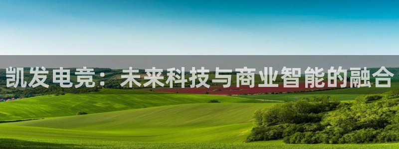 手机版开心网