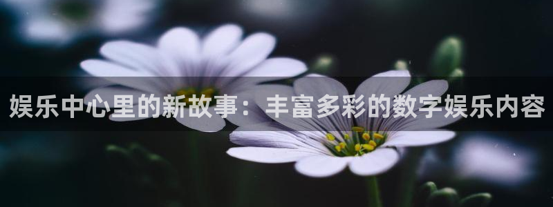 开心彩welcome