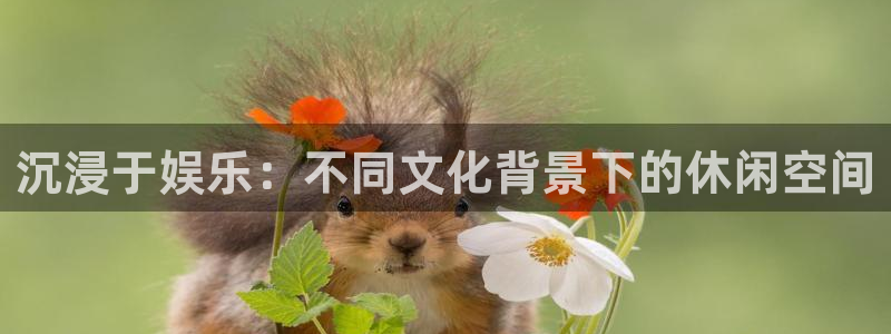 开心彩手机版