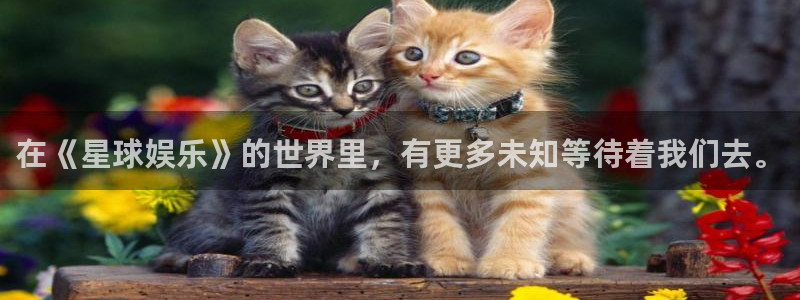 开心彩手机版：在《星球娱乐》的世界里，有更多未知等待着我们去。