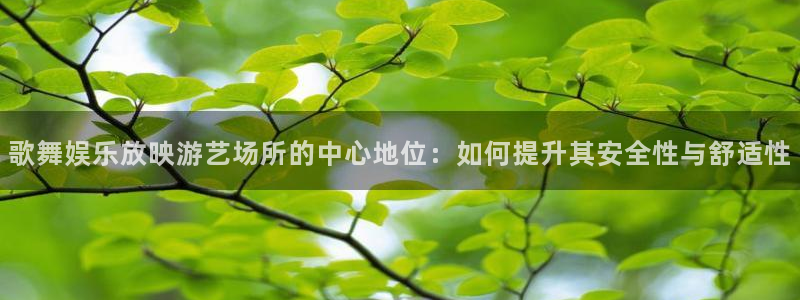 开心彩welcome：歌舞娱乐放映游艺场所的中心地位：如何提升其安全性与舒适性