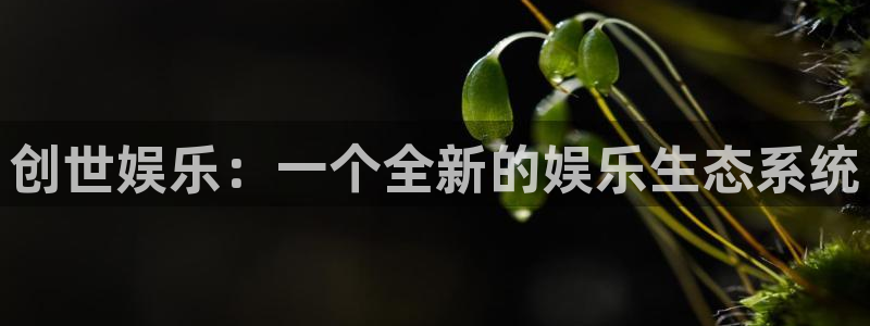 开心彩welcome：创世娱乐：一个全新的娱乐生态系统