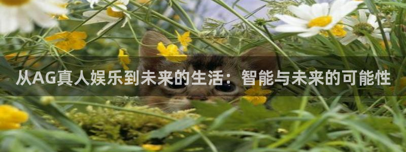 开心激情第六色：从AG真人娱乐到未来的生活：智能与未来的可能性