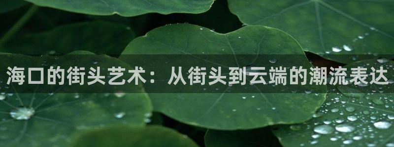 开心彩下载安装：海口的街头艺术：从街头到云端的潮流表达