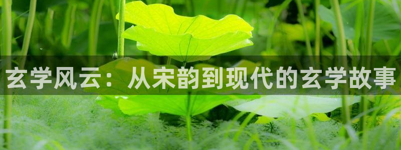 下载最新开心彩：玄学风云：从宋韵到现代的玄学故事