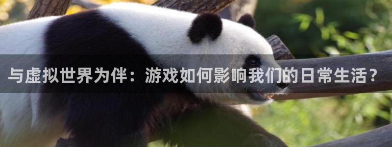 开心网手机版：与虚拟世界为伴：游戏如何影响我们的日常生活？