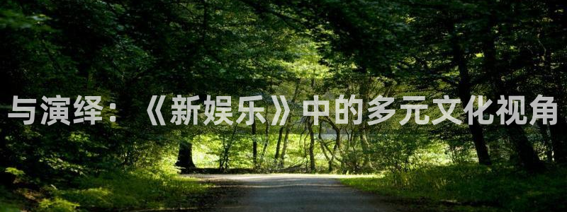 手机版开心网：与演绎：《新娱乐》中的多元文化视角