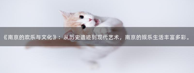 下载开心彩：《南京的欢乐与文化》：从历史遗迹到现代艺术，南京的娱乐生活丰富多彩。